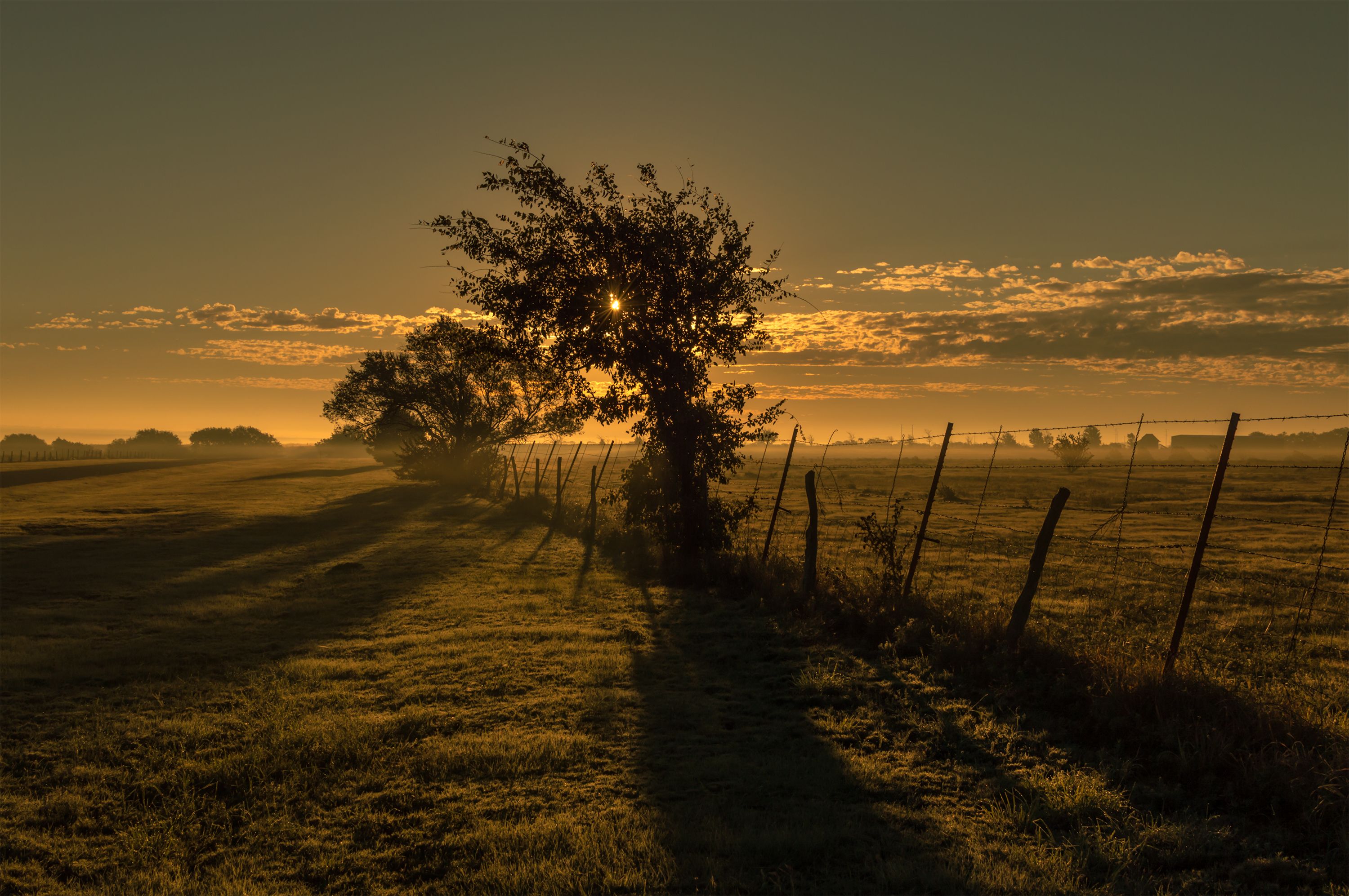 Clovis Shutterstock 532212265